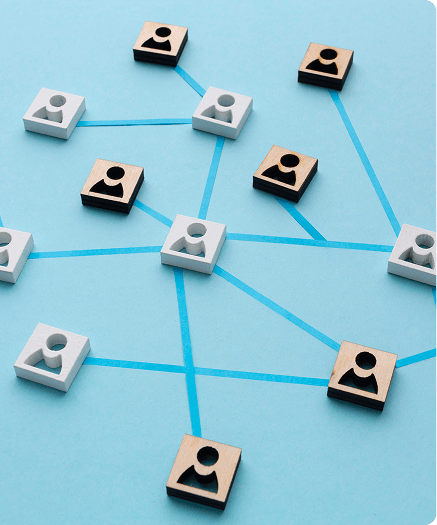 1plus-Backlink Audits-img